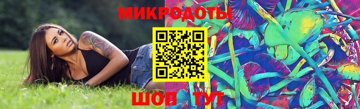 Галлюциногенные грибы GOLDEN TEACHER  Псилоцибиновые грибы Magic Shrooms  Вход с VPN  Димитровград 
